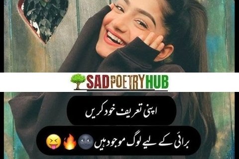 Best Attitude Poetry in Urdu 2 Lines Text Collection 2025