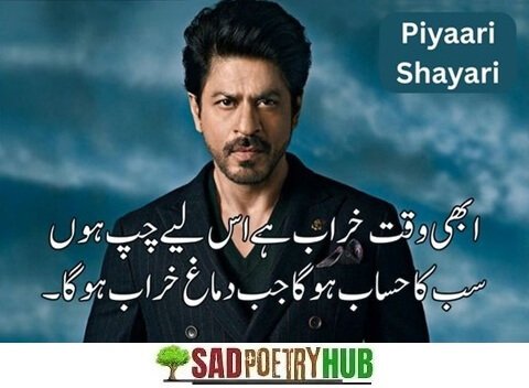 Best Attitude Poetry in Urdu 2 Lines Text Collection 2025