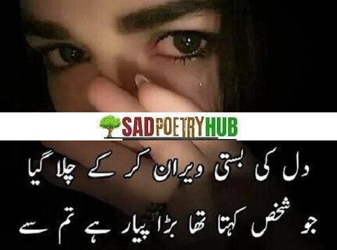 Best Heart Touching Sad & Alone Shayari In Hindi 2024