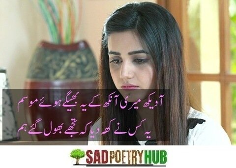 [Best] Life Sad Poetry In Roman Urdu Copy Paste For Social Media