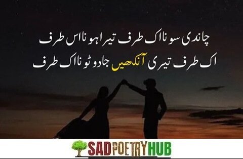 Deep Lines Poetry Or Shayri in Urdu Text For Copy Paste