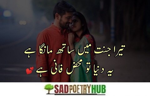 Love Romantic Shayari In Hindi & Urdu For GF On Social Media