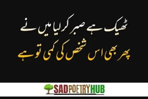 Sad 2 Line Shayri For Instagram, Facebook & Whatsapp Community