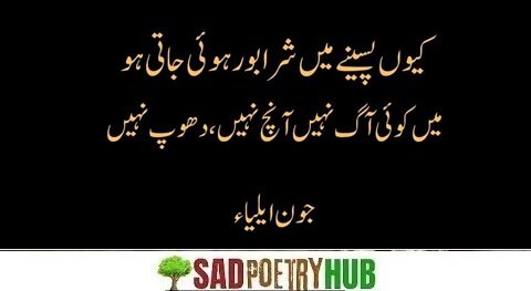 [Superb 100+] John Elia Sad Shayari With Best Poetry Words