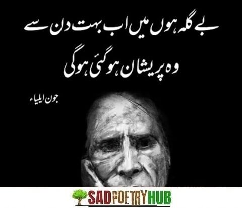 [Superb 100+] John Elia Sad Shayari With Best Poetry Words