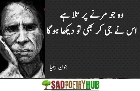 [Superb 100+] John Elia Sad Shayari With Best Poetry Words