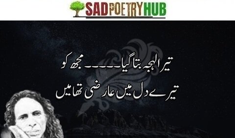 [Superb 100+] John Elia Sad Shayari With Best Poetry Words