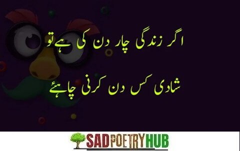 Top Funny Poetry In Urdu - Most Funny Urdu Lateefy 2025