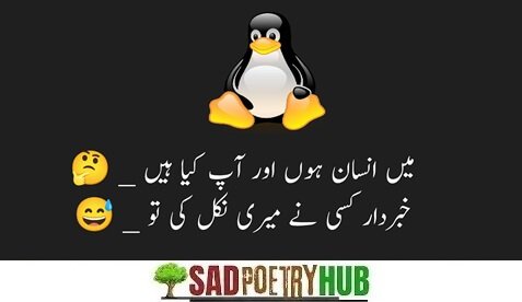 Top Funny Poetry In Urdu - Most Funny Urdu Lateefy 2025