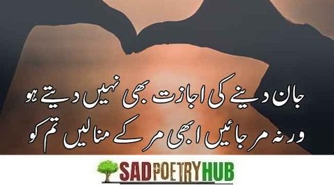 Top Shayari in Urdu + Poetry Ideas For Tiktok & FaceBook