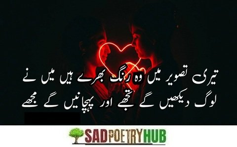Top Shayari in Urdu + Poetry Ideas For Tiktok & FaceBook