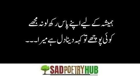 Top Shayari in Urdu + Poetry Ideas For Tiktok & FaceBook