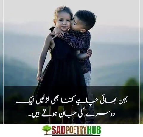 Collection 2 Line Bhai Behan Shayari In Urdu & Hindi