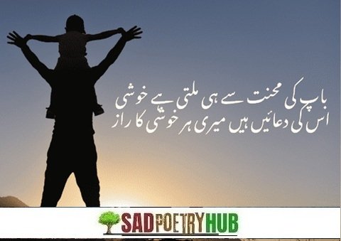 250+ Father Love Quotes in Urdu For Beloved Children