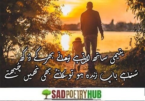 250+ Father Love Quotes in Urdu For Beloved Children