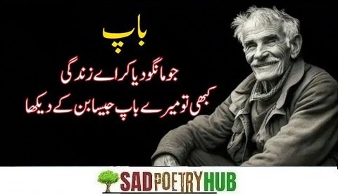 250+ Father Love Quotes in Urdu For Beloved Children