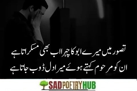 250+ Father Love Quotes in Urdu For Beloved Children