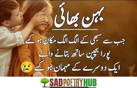 Collection 2 Line Bhai Behan Shayari In Urdu & Hindi