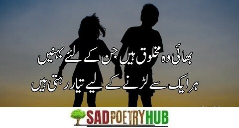 Collection 2 Line Bhai Behan Shayari In Urdu & Hindi